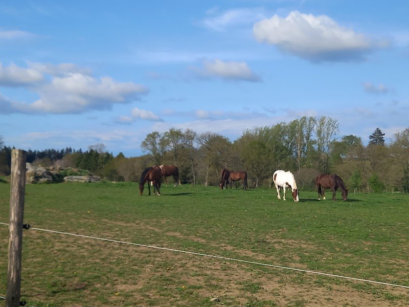 Domaine Équestre Nozkan - photo 2
