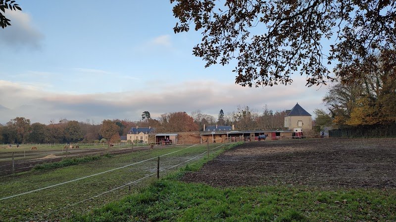 Poney Club de St Malo