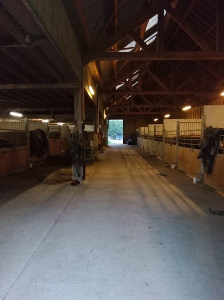 Écurie jj baillon - photo 2