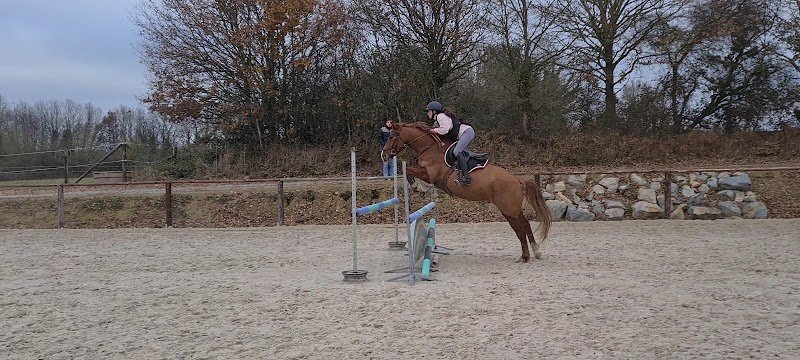 Écurie du Domaine des Assis