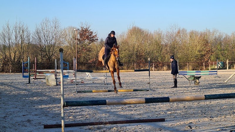 Écurie du Domaine des Assis - photo 2