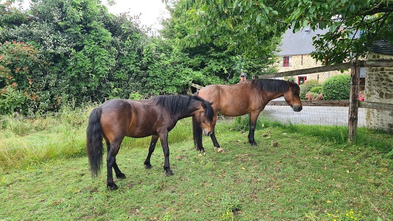 Écurie du Domaine des Assis - photo 3
