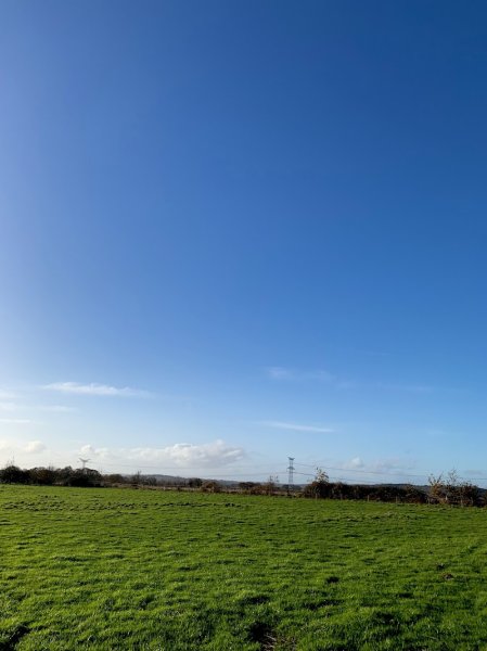 Haras Du Bois Massé - photo 2