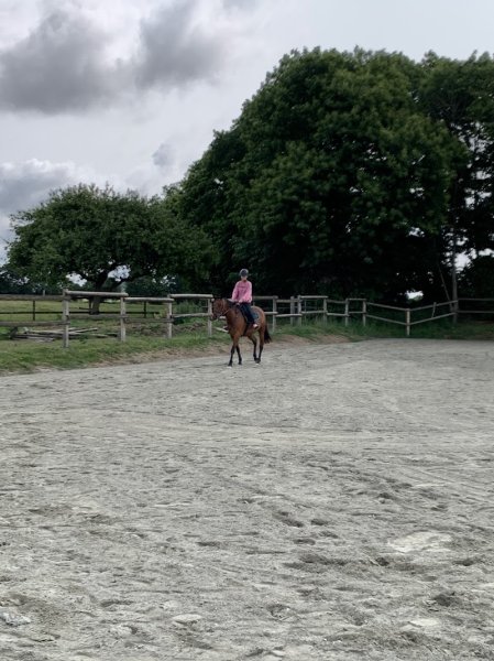 Haras Du Bois Massé - photo 3