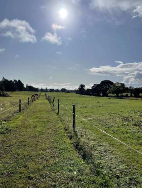 Centre équestre de La Dierge - photo 3