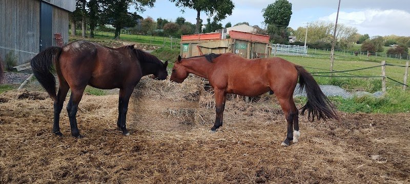 Ecurie Ar Goanag - photo 2