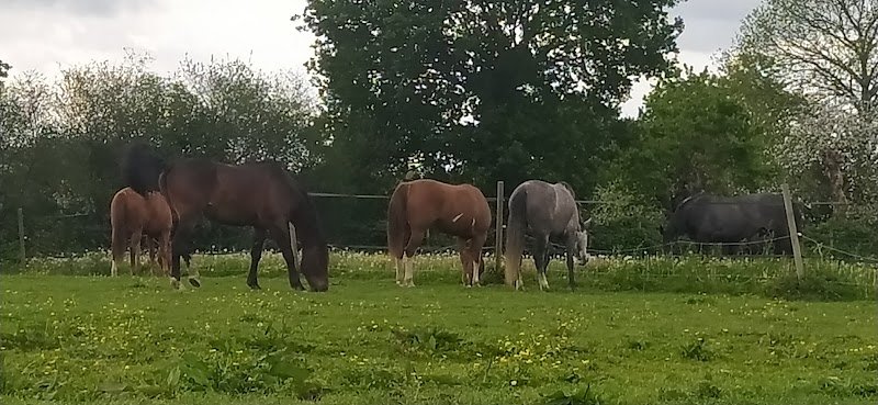 Ecurie Ar Goanag - photo 3