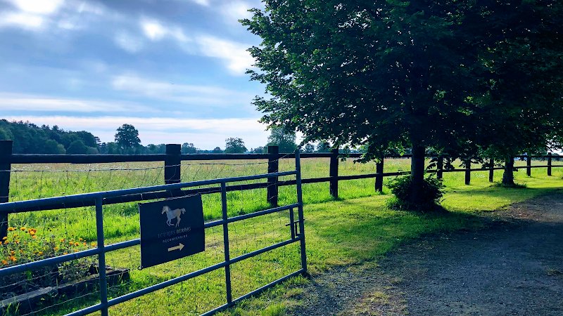 Écuries Bering reconversion - photo 2