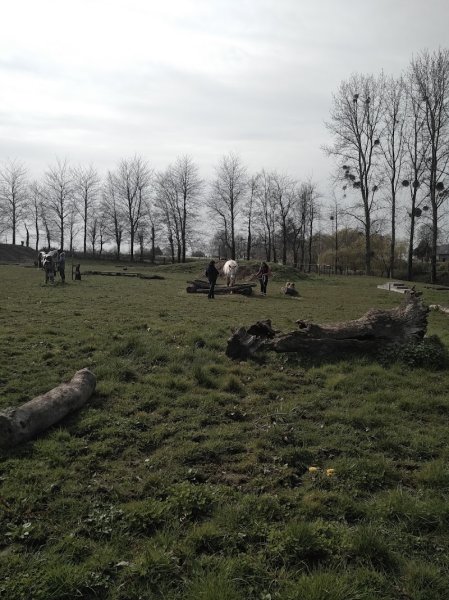 Easy Horse, équitation éthologique