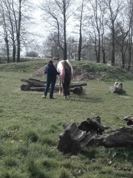 Easy Horse, équitation éthologique - photo 2