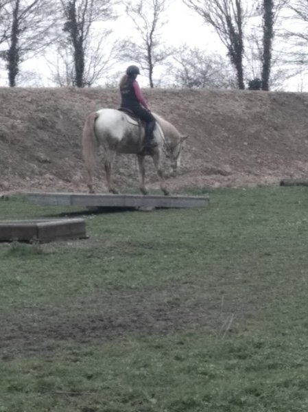 Easy Horse, équitation éthologique - photo 3
