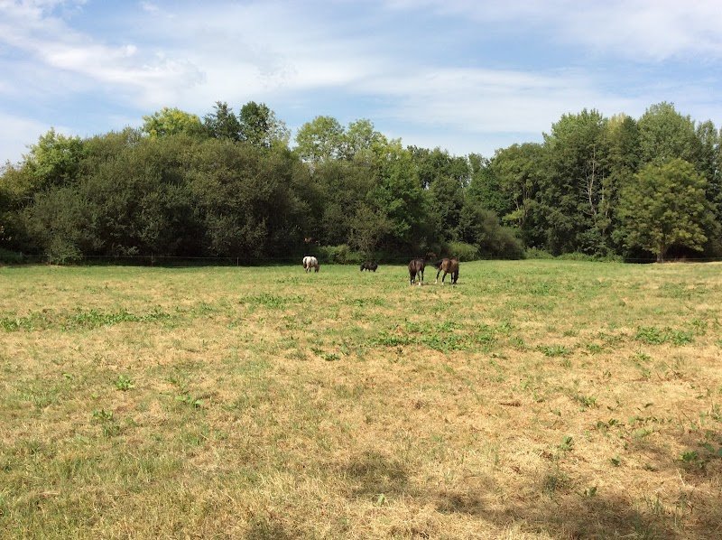 Les écuries de Chanteloup