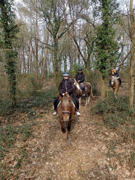 Brocéliande randonnée a cheval