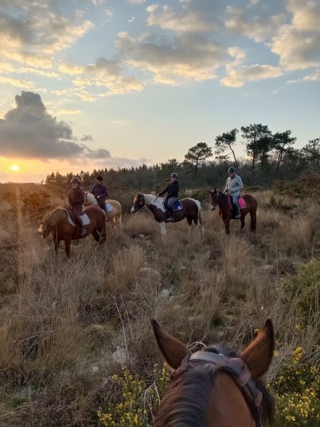 Brocéliande randonnée a cheval - photo 2