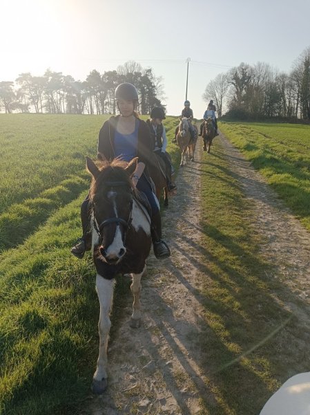 Brocéliande randonnée a cheval - photo 3