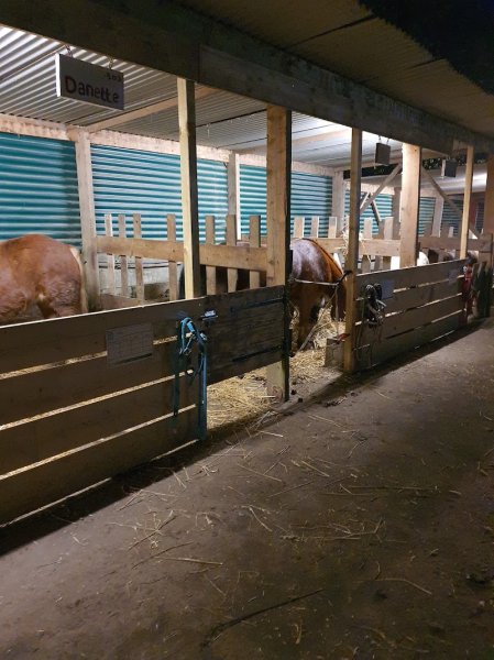 Houssais Horses Sarl - photo 2