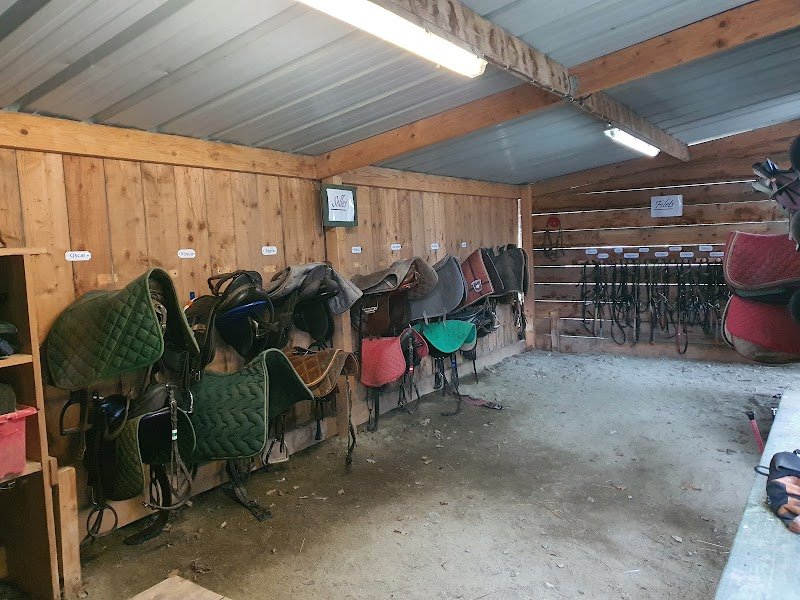 Houssais Horses Sarl - photo 3