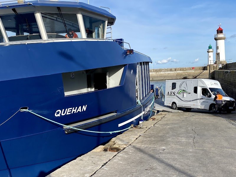 Agri Equi Services Transport Chevaux - photo 1