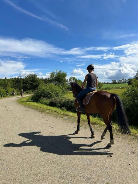 Ecurie d'Hesse - photo 2