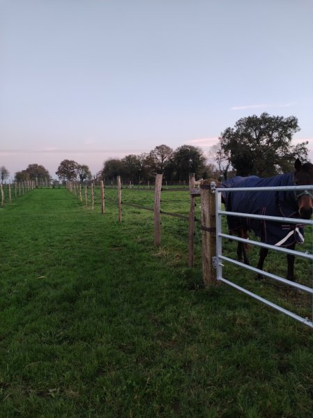 Écurie et Verger de Pom'Rey - photo 2