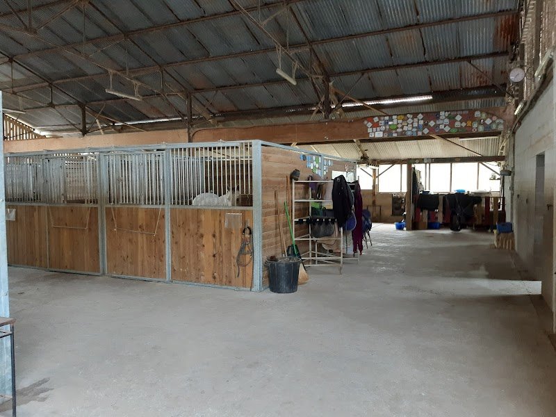 Pension et Elevage Ecurie D'IL (élevage Connemara, Pfs)