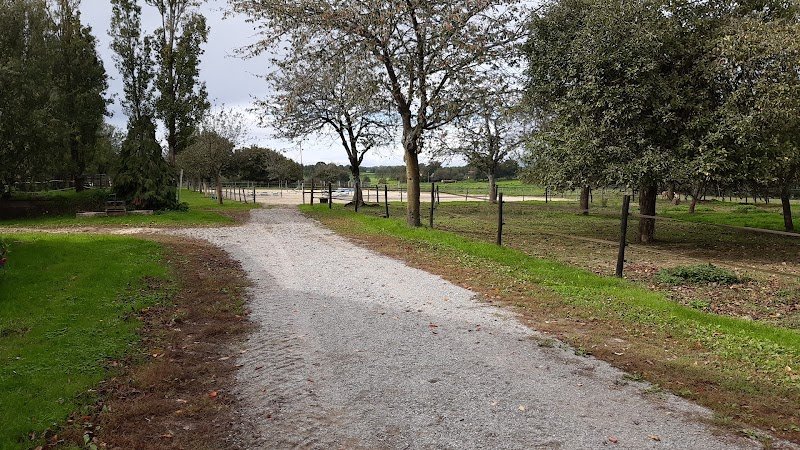 Pension et Elevage Ecurie D'IL (élevage Connemara, Pfs) - photo 2