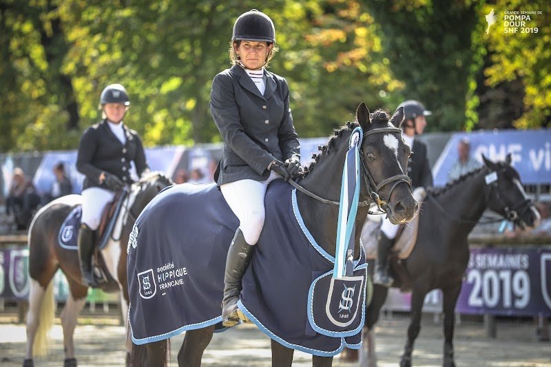 Pension et Elevage Ecurie D'IL (élevage Connemara, Pfs) - photo 3