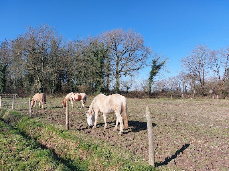 Ferme Equestre Le Refuge - Pension pour chevaux - photo 1