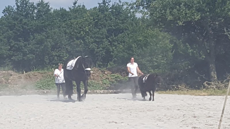 Haras De Kita - photo 1