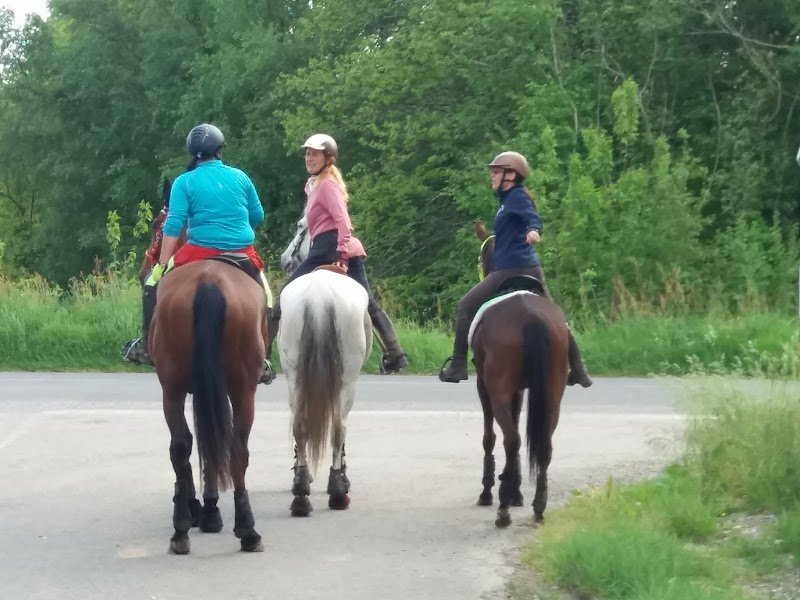 Haras De Kita - photo 2