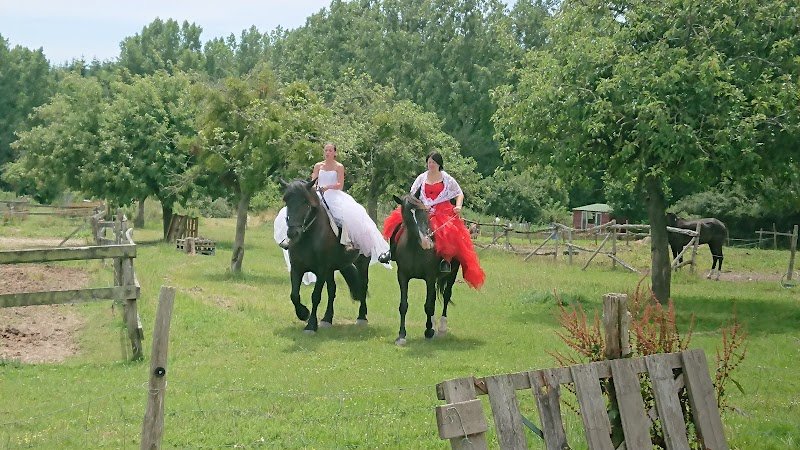 Haras De Kita - photo 3