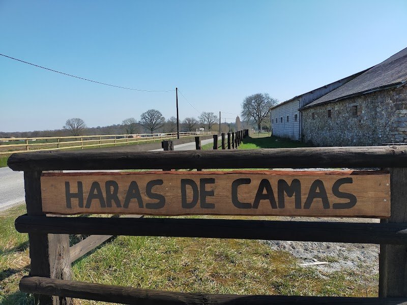 Haras de camas - photo 1