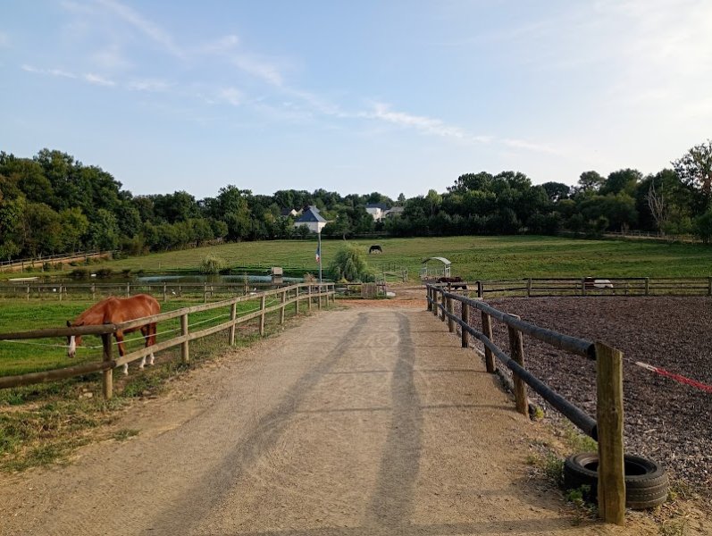 Haras de camas - photo 2