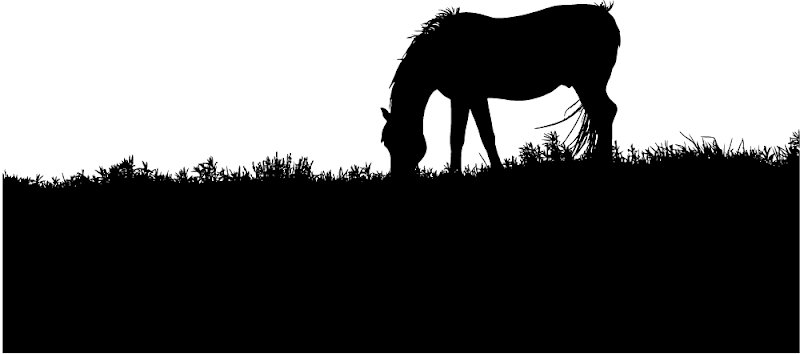 Les écuries des découvertes