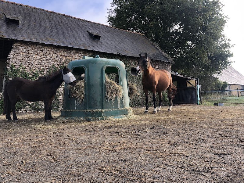 Les écuries des découvertes - photo 2