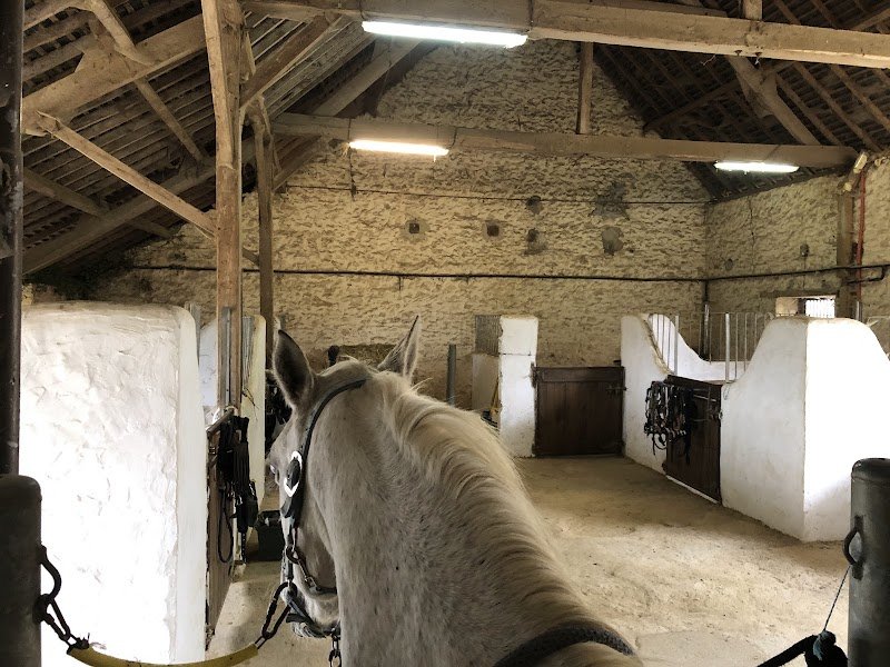 Les écuries des découvertes - photo 3