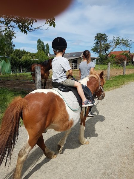 Poney-club Des Vallons - photo 3