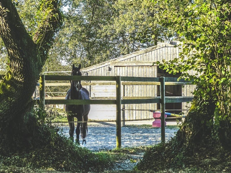 Les Ecuries de Faouell - photo 3