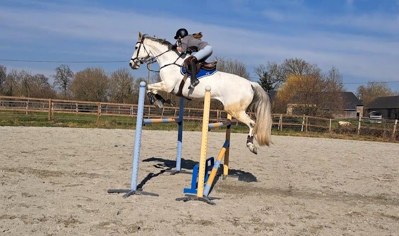 Haras d'Ambreval - photo 2