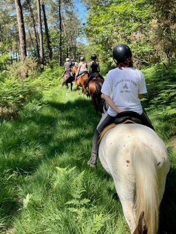 Poney Club Equi Libre - photo 1