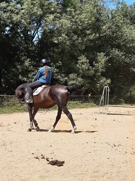 Poney Club Equi Libre - photo 2