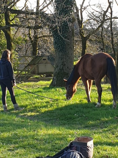 Poney Club Equi Libre - photo 3