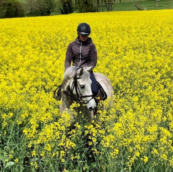 Ferme équestre des albizias - photo 1