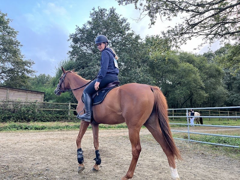 Ferme équestre des albizias - photo 2