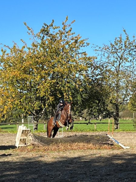 écurie de la lyberté