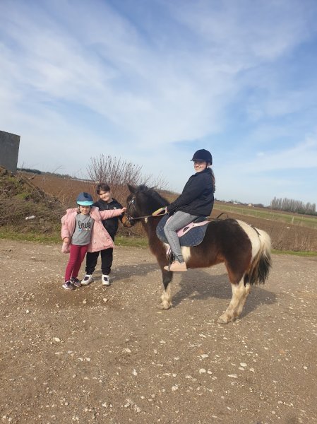 Haras des Peupliers, ecurie de propriétaire, poney club 77 - photo 3