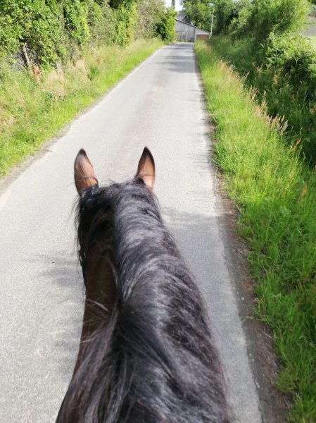 Les Ecuries de Champeaux - photo 1