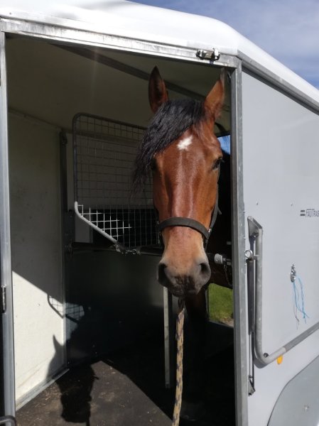 Les Ecuries de Champeaux - photo 2