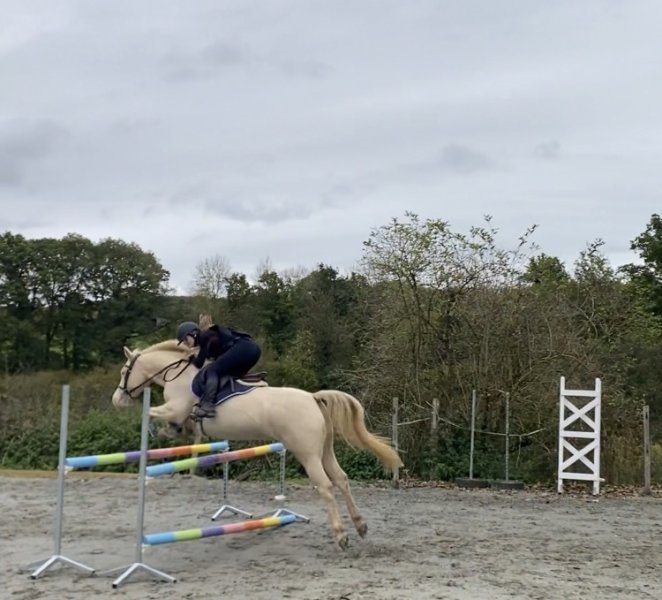 Écuries des rives d’elle - photo 1