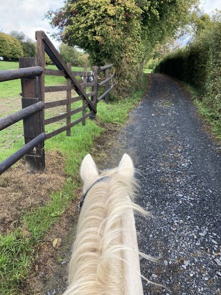 Écuries des rives d’elle - photo 2